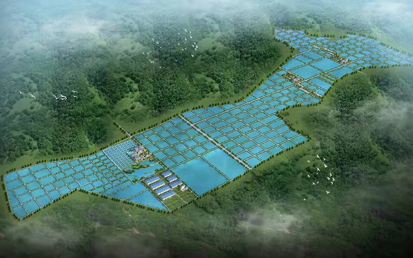 推動現(xiàn)代漁業(yè)新發(fā)展｜中信恒泰成功中標了廣西現(xiàn)代漁業(yè)種業(yè)示范園（核心區(qū)）建設項目全過程工程咨詢服務項目